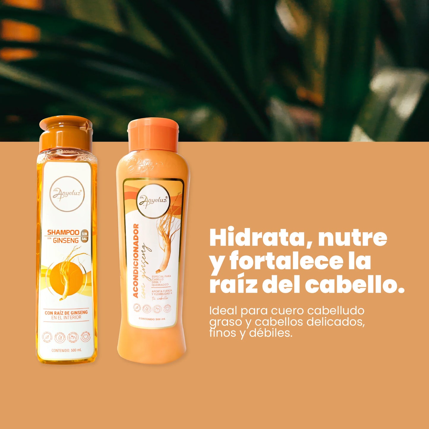 Kit Dúo Ginseng