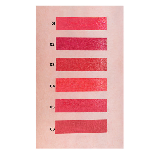 Labial Liquido Y Labial En Barra 2 En 1 Ushas